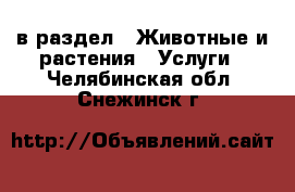  в раздел : Животные и растения » Услуги . Челябинская обл.,Снежинск г.